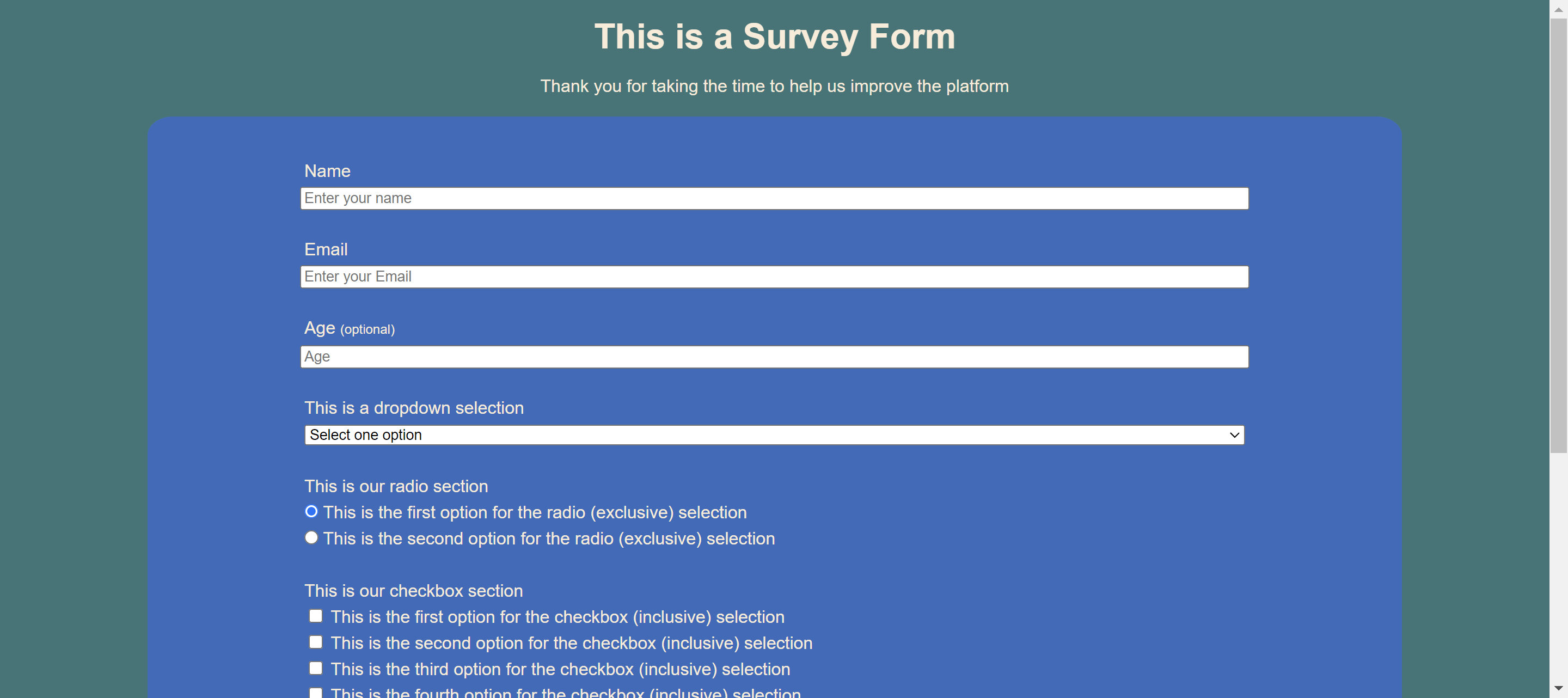 Screenshot of the Survey Form project